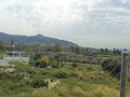 Mooie villa in Ricabacica, Abanilla + olijfgaard in Partidor in Real Estate Alicante