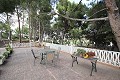 Drei Häuser auf einem Grundstück in Monovar in Real Estate Alicante