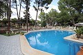 Drei Häuser auf einem Grundstück in Monovar in Real Estate Alicante