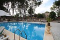 Drei Häuser auf einem Grundstück in Monovar in Real Estate Alicante