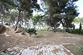 Drei Häuser auf einem Grundstück in Monovar in Real Estate Alicante