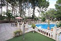Drei Häuser auf einem Grundstück in Monovar in Real Estate Alicante
