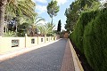 Drei Häuser auf einem Grundstück in Monovar in Real Estate Alicante