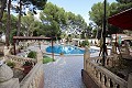 Drei Häuser auf einem Grundstück in Monovar in Real Estate Alicante