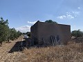 Reformhaus in Caudete in Real Estate Alicante