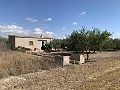Reformhaus in Caudete in Real Estate Alicante