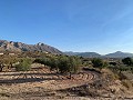 Building plots in Macisvenda in Real Estate Alicante