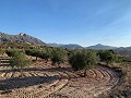 Building plots in Macisvenda in Real Estate Alicante