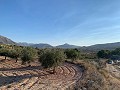 Building plots in Macisvenda in Real Estate Alicante