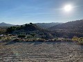 Building plots in Macisvenda in Real Estate Alicante