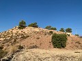 Building plots in Macisvenda in Real Estate Alicante