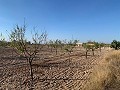 Terrain à bâtir à Macisvenda in Real Estate Alicante