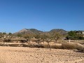 Terrain à bâtir à Macisvenda in Real Estate Alicante