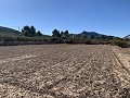 Propriété de campagne avec une vue imprenable in Real Estate Alicante