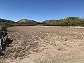 Propriété de campagne avec une vue imprenable in Real Estate Alicante