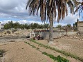Finca adosada en La Romana in Real Estate Alicante
