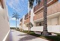 Amazing New Build beach property in Real Estate Alicante