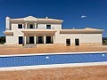 Obra Nueva con Piscina en Pinoso in Real Estate Alicante