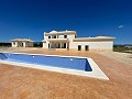 Obra Nueva con Piscina en Pinoso in Real Estate Alicante