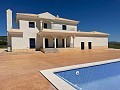 Obra Nueva con Piscina en Pinoso in Real Estate Alicante