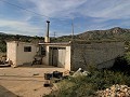 Landhuis met 3 slaapkamers en opslagdepot 10 minuten lopen naar Barinas Town in Real Estate Alicante