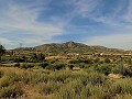 Landhuis met 3 slaapkamers en opslagdepot 10 minuten lopen naar Barinas Town in Real Estate Alicante