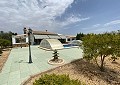 3 Bed 3 Bath Stunning Villa in Sax in Real Estate Alicante