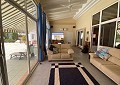 3 Bed 3 Bath Stunning Villa in Sax in Real Estate Alicante