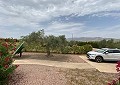 3 Bed 3 Bath Stunning Villa in Sax in Real Estate Alicante