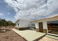 3 Bed 3 Bath Stunning Villa in Sax in Real Estate Alicante