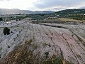 Baugrundstücke zwischen Sax und Salinas in Real Estate Alicante