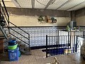 Große 3-Zimmer-Wohnung im Zentrum von Aspe mit Garage in Real Estate Alicante
