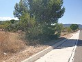 Building Plot in Biar in Real Estate Alicante