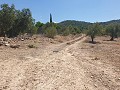 Building Plot in Biar in Real Estate Alicante