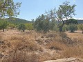 Building Plot in Biar in Real Estate Alicante