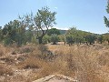Building Plot in Biar in Real Estate Alicante