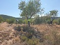 Building Plot in Biar in Real Estate Alicante