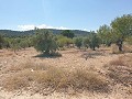Building Plot in Biar in Real Estate Alicante