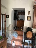 Alte Finca komplett renoviert mit Swimmingpool und originaler Bodega in Real Estate Alicante