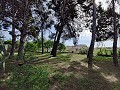 Detached Urban country house in Novelda in Real Estate Alicante
