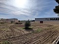 Detached Urban country house in Novelda in Real Estate Alicante
