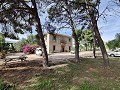 Detached Urban country house in Novelda in Real Estate Alicante