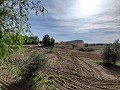 Detached Urban country house in Novelda in Real Estate Alicante