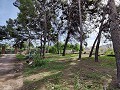 Detached Urban country house in Novelda in Real Estate Alicante