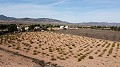 Building plot of land only for new build, in Paredon, Pinoso in Real Estate Alicante