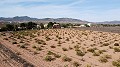 Building plot of land only for new build, in Paredon, Pinoso in Real Estate Alicante