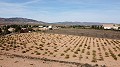 Building plot of land only for new build, in Paredon, Pinoso in Real Estate Alicante