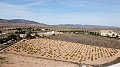 Building plot of land only for new build, in Paredon, Pinoso in Real Estate Alicante