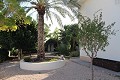 Magnífica villa ubicada en El Reloj (Fortuna) in Real Estate Alicante