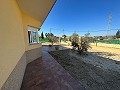 Prachtige villa met 3 slaapkamers en 2 badkamers in Fortuna in Real Estate Alicante